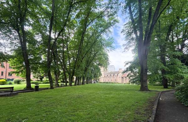 A photo of a grassy lawn area, with mature leafy trees running along each side and a church ruin at the far end in the distance.