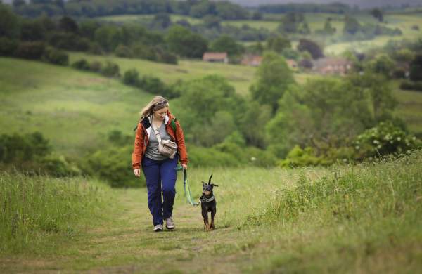A person and dog walk towards the camera in the Lincolnshire Wolds.
