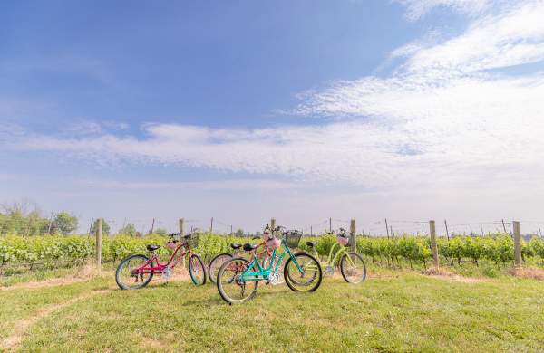 Bikes