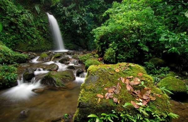 Waterfall surrounded by exuberant greenery at Santa Fe, Veraguas