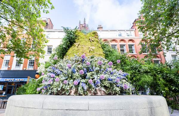 The Floral Trail