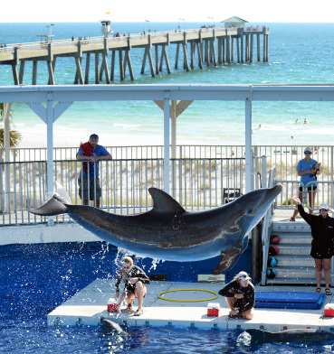 Things to Do in Fort Walton Beach With Family: Top Fun Activities