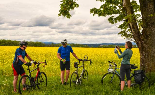 Three cyclists stand beside their road bikes in front of a field of bright yellow flowers under a tree at Camas Country Mill.