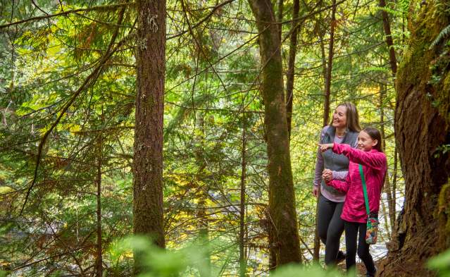 Hiking in the Cascades near Westfir