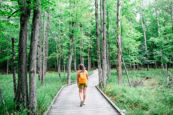 Insta-worthy Spots on the Green Circle Trail