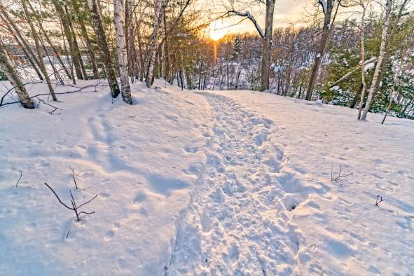 Where to Snowshoe in the Stevens Point Area