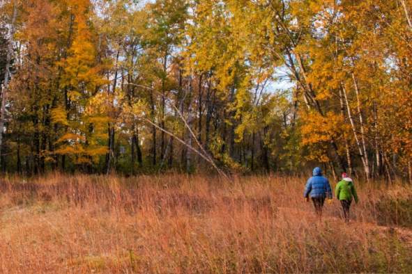 Hike through the Stevens Point Area this fall, including the popular 27-mile Green Circle Trail.