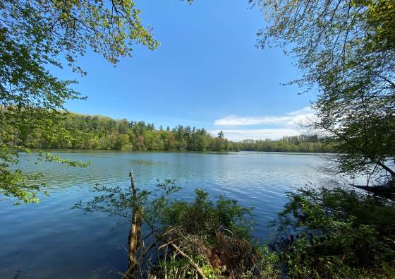 William Kain County Park