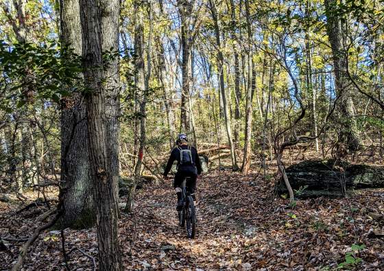 Person riding mountain bike through fall forest