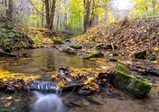 Spring Valley County Park