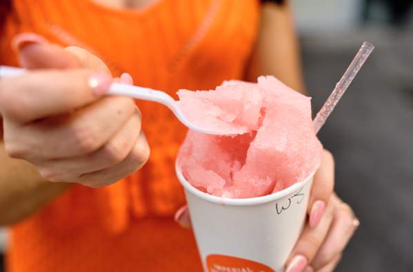 Imperial Woodpecker Sno-Balls