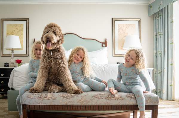 Pampered Pets Program - Windsor Court