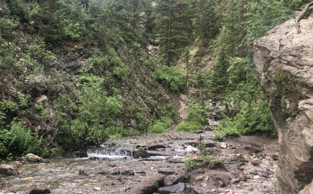 Creek running over rocky creekbed with brushy canyon walls around it