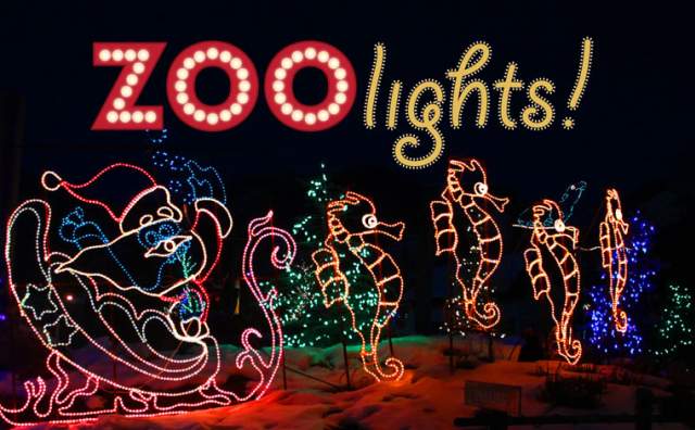 Zoo Lights of Santa and seahorses pulling the sleigh