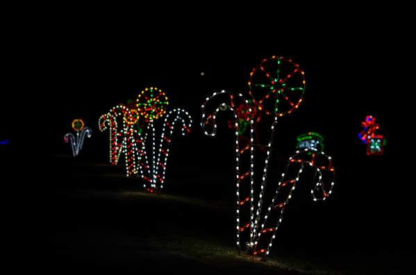 Christmas in the Park Lights