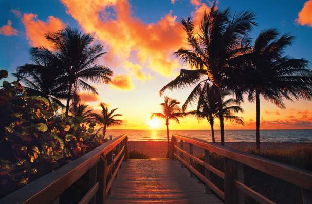 Pier with palm trees at sunset
