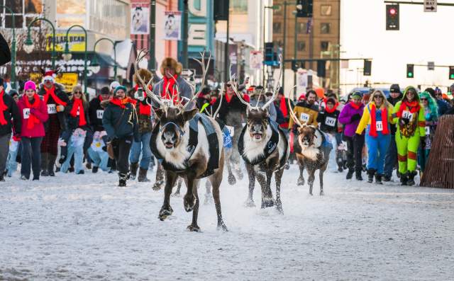 Christmas Events Anchorage 2022 Winter Events | Visit Anchorage