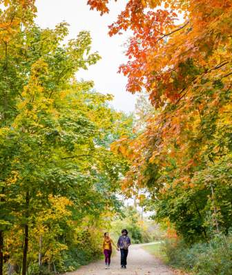 A couple walks through Picnic Point surrounded by tall trees with changing leaves