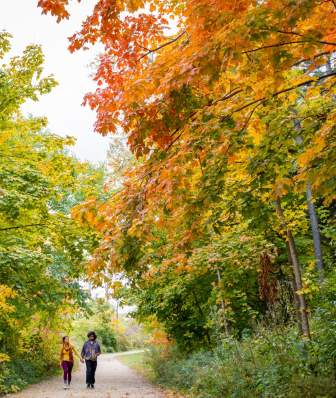 A couple walks through Picnic Point surrounded by tall trees with changing leaves