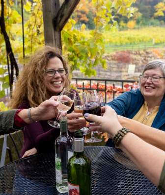 A group of white women cheersing their glasses of wine while sitting on a patio with fall colored trees behind them.