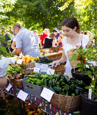 A young woman is surrounded by greenery and other people and fresh produce as she picks peppers at an outdoor farmers' market.
