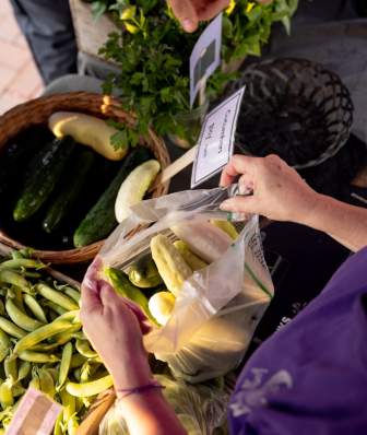 An overhead view of a woman holding open a bag of squash and zuchini