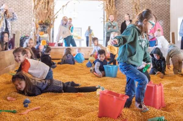 choctafaula pumpkin patch