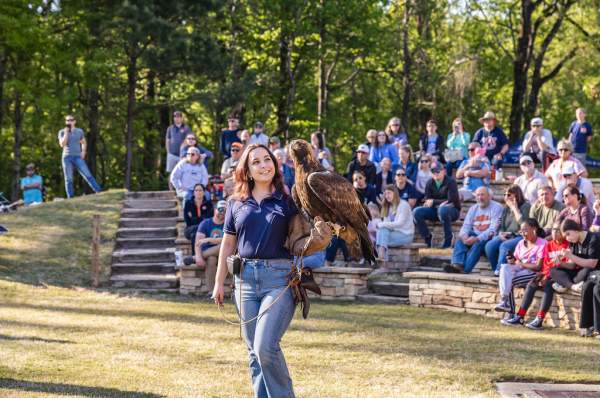 Football Fans and Feathers
