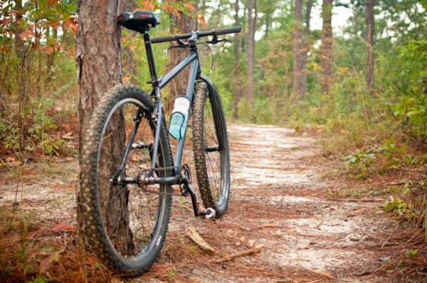 Tuskegee National Forest Trail