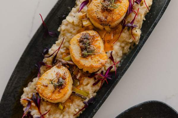 Olivine in downtown Auburn