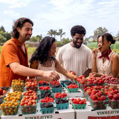 Four people at a farm stand looking at punnets and trying berries