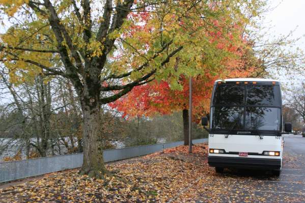 Fall Foliage Bus Tour