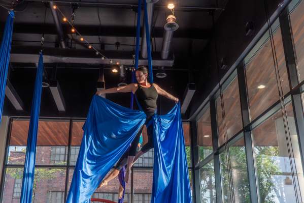 Host of Sparrows - Manchester Spotlight