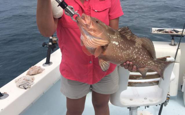 Fishing: woman holding a freshly-caught red grouper fish