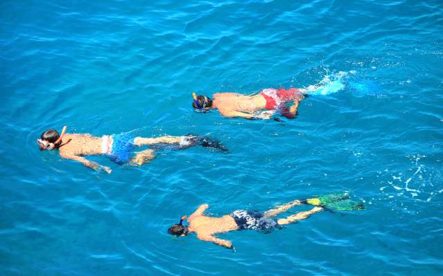 Snorkelers in blue water in Punta Gorda/Englewood Beach