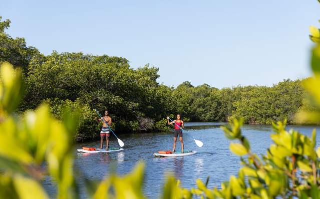 Couple Standup Paddleboarding in Punta Gorda/Englewood Beach