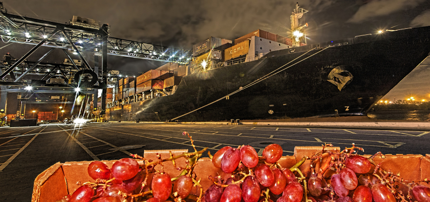 Port Everglades imports grapes from Chile