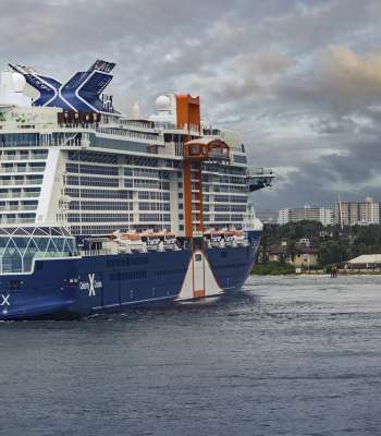 Cruise