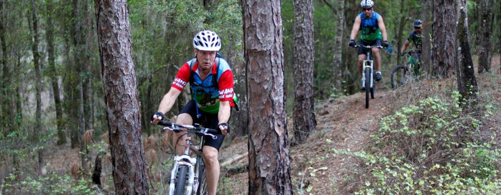 Croom Mtb Trail Map Mountain Bike Trails In Florida - Croom-Rital Road