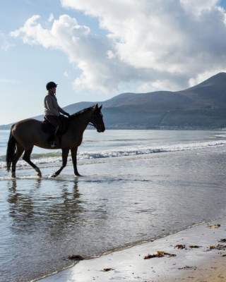 Horse and rider on Newcastle Beach, County Down