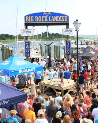 Crowd of People Watching A Marlin Getting Weighed At Big Rock Blue Marlin Tournament