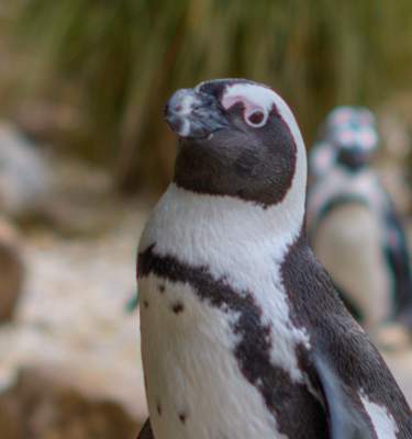 Lehigh Valley Zoo