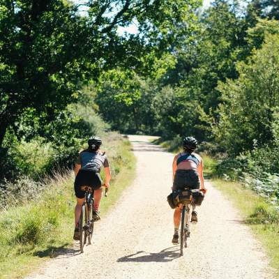 2 people cycling along path in the New Forest