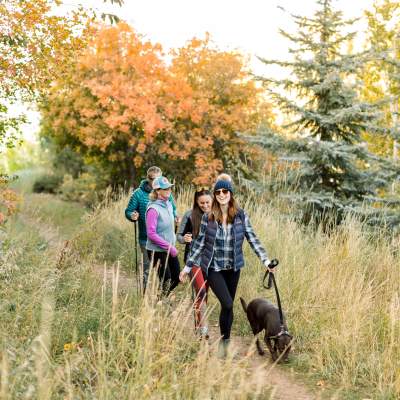 group of adults hiking with a dog on leash