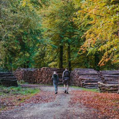 Colourful Autumn Walks Blog