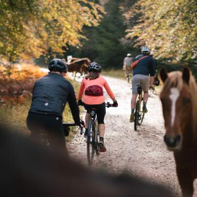 Group riding amongst ponies in the New Forest with The Woods Cyclery