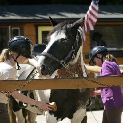 Horse riding  collection