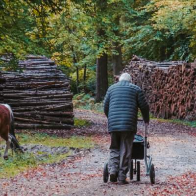 accessible walks collection