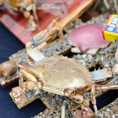 A photo of a blue crab and old bay seasoning