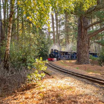 Steam Railway at Exbury Gardens in the New Forest - Things to do hero